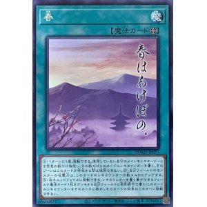 画像1: 春【NR】【DUAD-JP073】