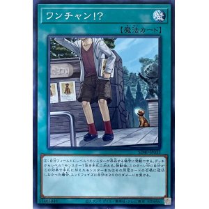 画像1: ワンチャン！？【N】【SD40-JP033】