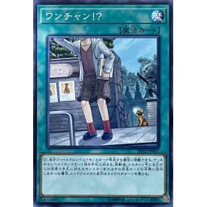 画像1: ワンチャン！？【N】【SD32-JP031】