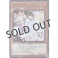 灰流うらら【ノーマル】TT01-JPA09