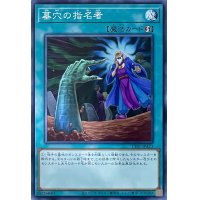 墓穴の指名者【N】【TT01-JPA23】