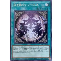 白き森のいいつたえ【レア】INFO-JP058