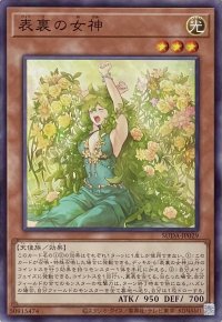 表裏の女神【ノーマルレア】SUDA-JP029