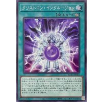 クリストロン・インクルージョン【ノーマル】SUDA-JP061