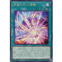 原質の炉心溶融【レア】SUDA-JP059