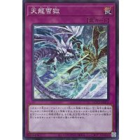 天龍雪獄【スーパーレア】ROTD-JP079