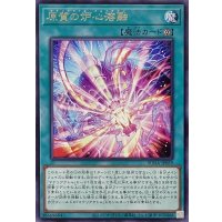 原質の炉心溶融【レア】SUDA-JP059