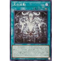 光の波動【ノーマル】SUDA-JP053