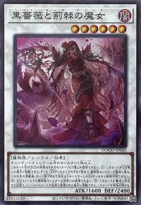 黒薔薇と荊棘の魔女【スーパーレア】DOOD-JP040