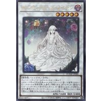 ガーデン・ローズ・メイデン【ウルトラレア】DOOD-JPS06