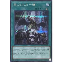 禁じられた一滴【シークレットレア】ROTD-JP065