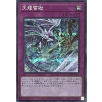 天龍雪獄【シークレットレア】ROTD-JP079