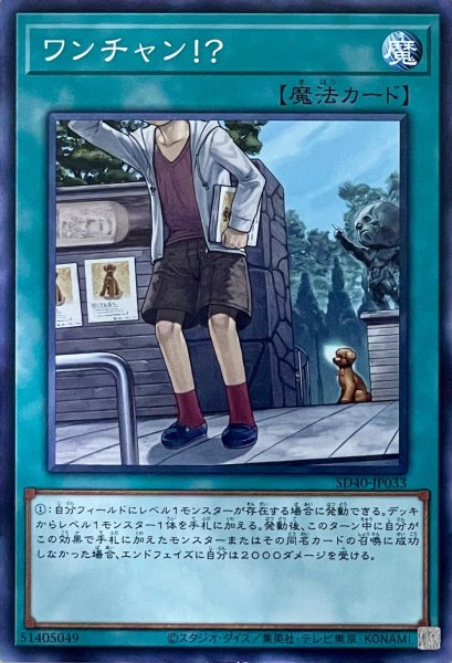 画像1: ワンチャン！？【N】【SD40-JP033】 (1)
