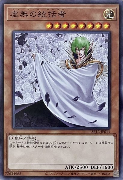 画像1: 虚無の統括者【ノーマル】SR12-JP011 (1)