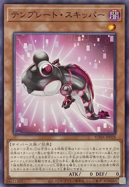 画像1: テンプレート・スキッパー【ノーマル】SUDA-JP028 (1)