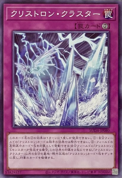 画像1: クリストロン・クラスター【ノーマル】SUDA-JP080 (1)